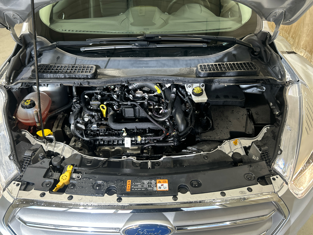 Ford Escape SEL 4WD 2019