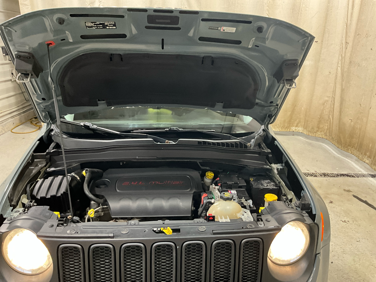 Jeep Renegade 4WD 4dr Trailhawk 2016