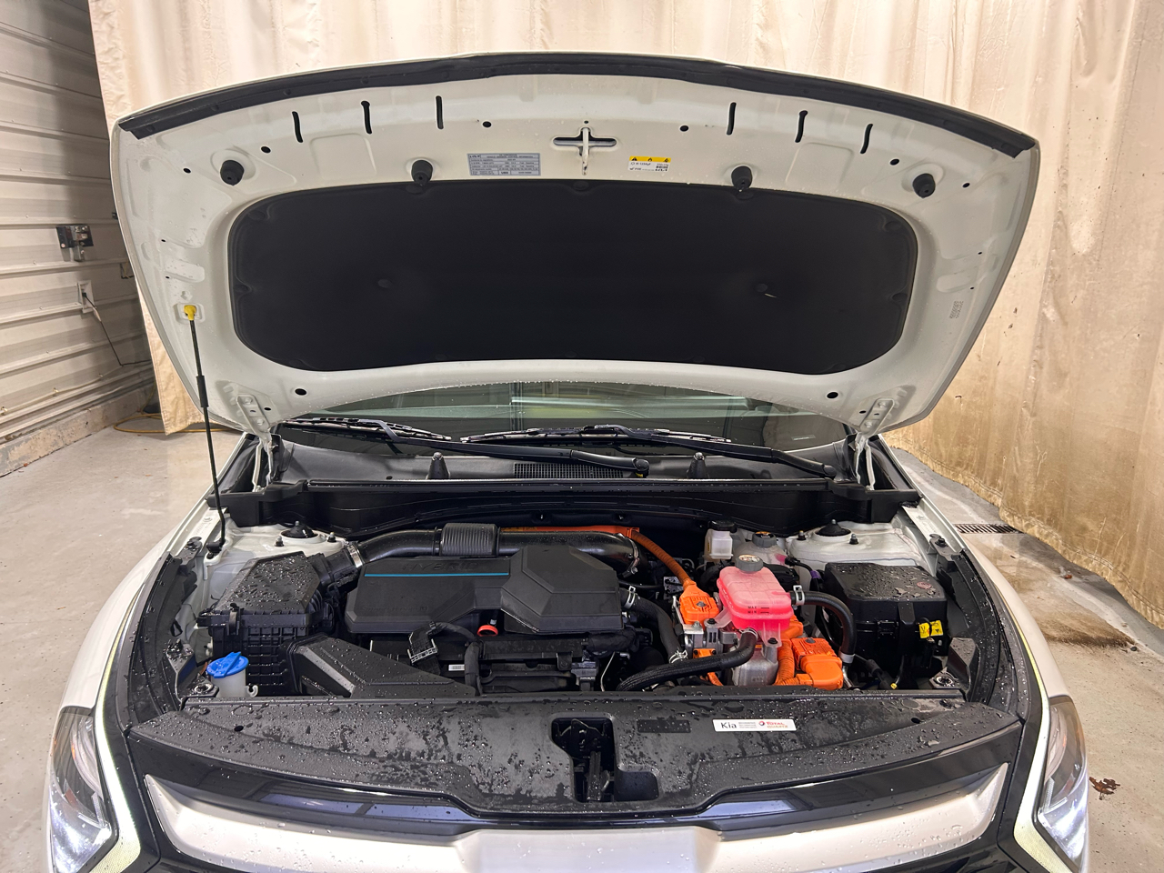 Kia Sportage Hybrid EX AWD 2023