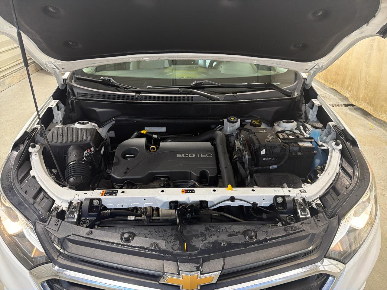 Chevrolet Equinox FWD 4dr LS w/1LS 2019