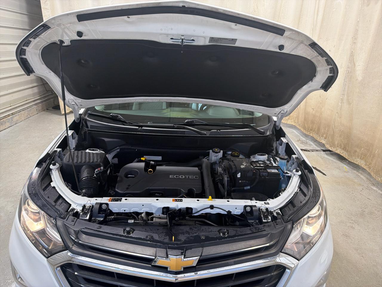 Chevrolet Equinox FWD 4dr LS w/1LS 2019