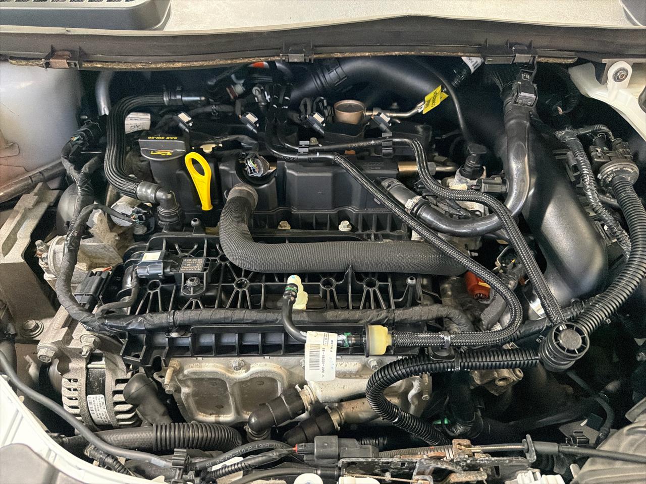 Ford Escape SE FWD 2019