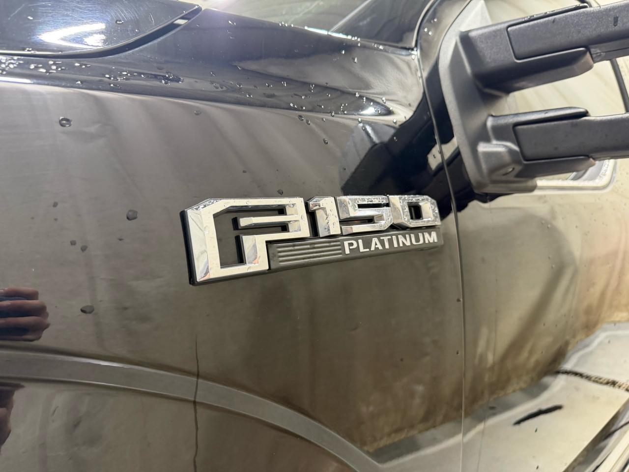 Ford F-150 4WD SuperCrew 157" Platinum 2016