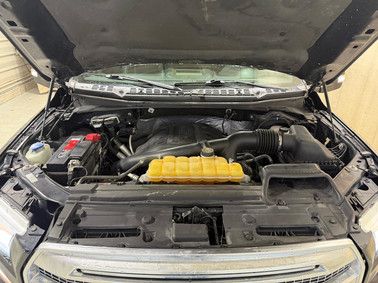 Ford F-150 4WD SuperCrew 157" Platinum 2016