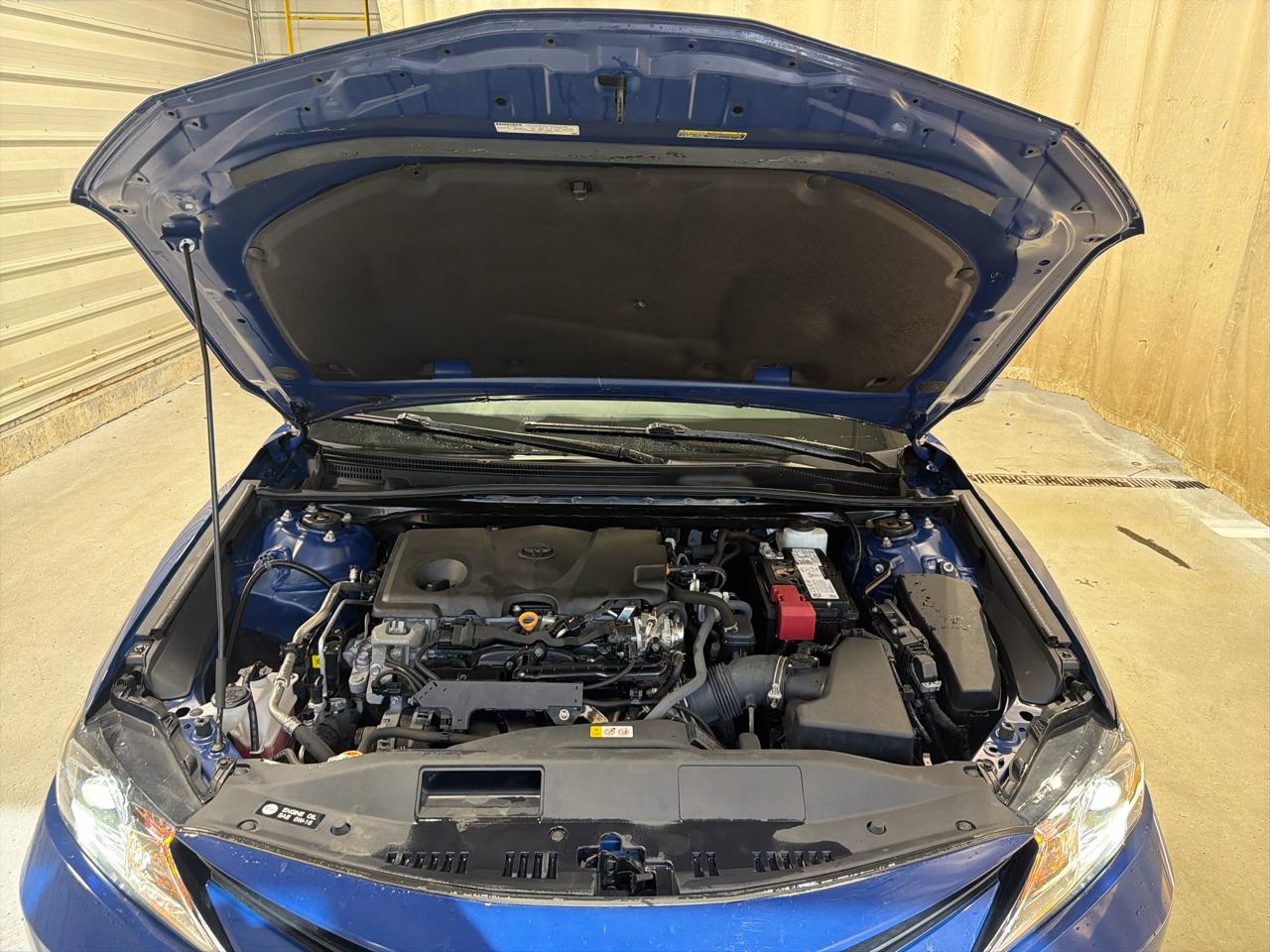 Toyota Camry LE Auto (Natl) 2023