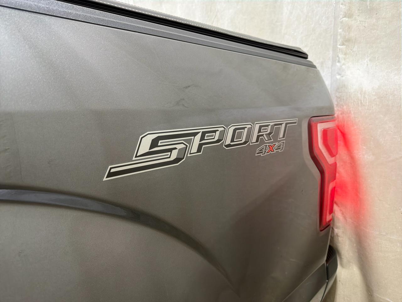 Ford F-150 XLT 4WD SuperCrew 5.5' Box 2020