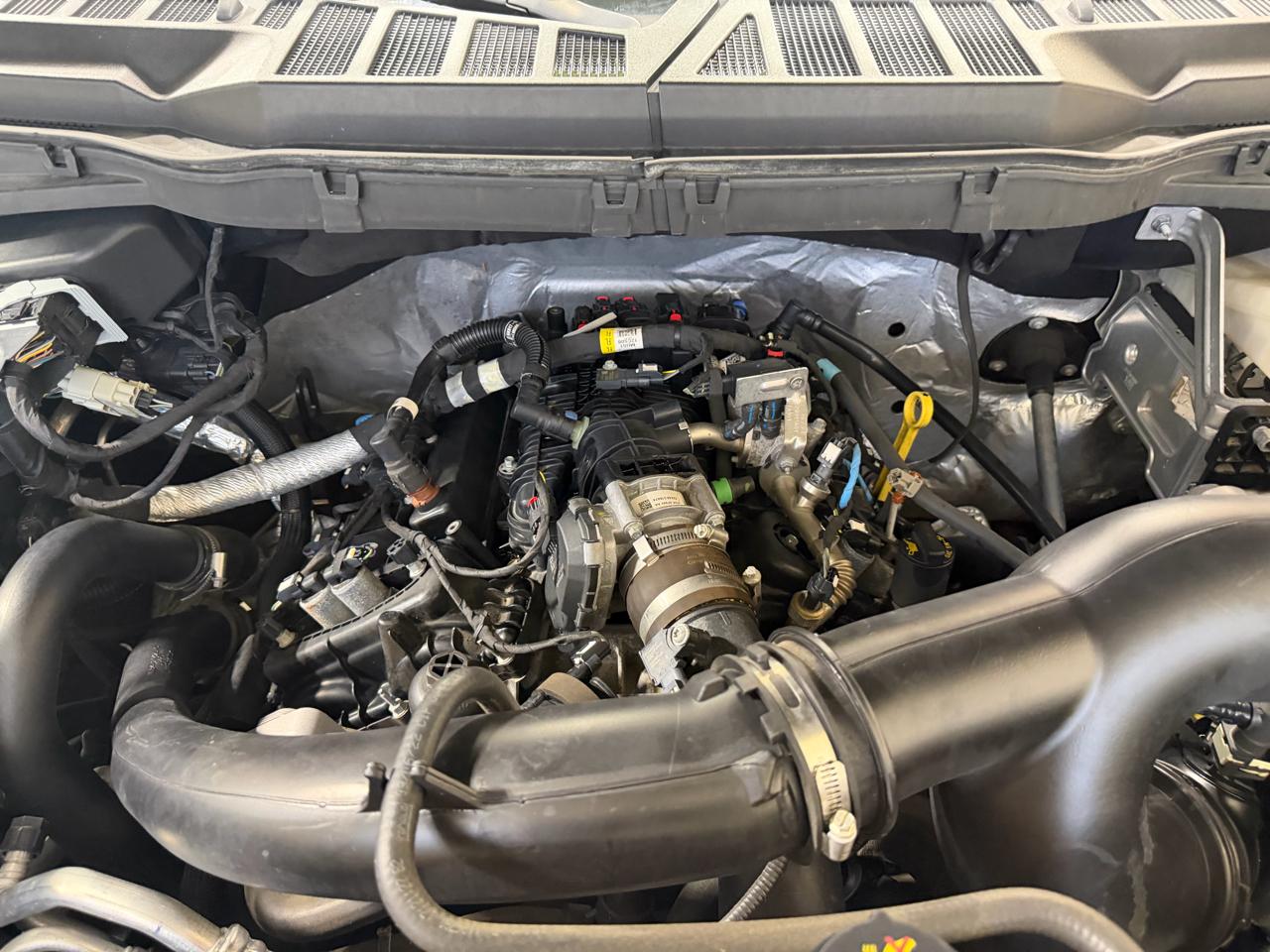 Ford F-150 XLT SuperCrew 5.5-ft. Bed 4WD 2022