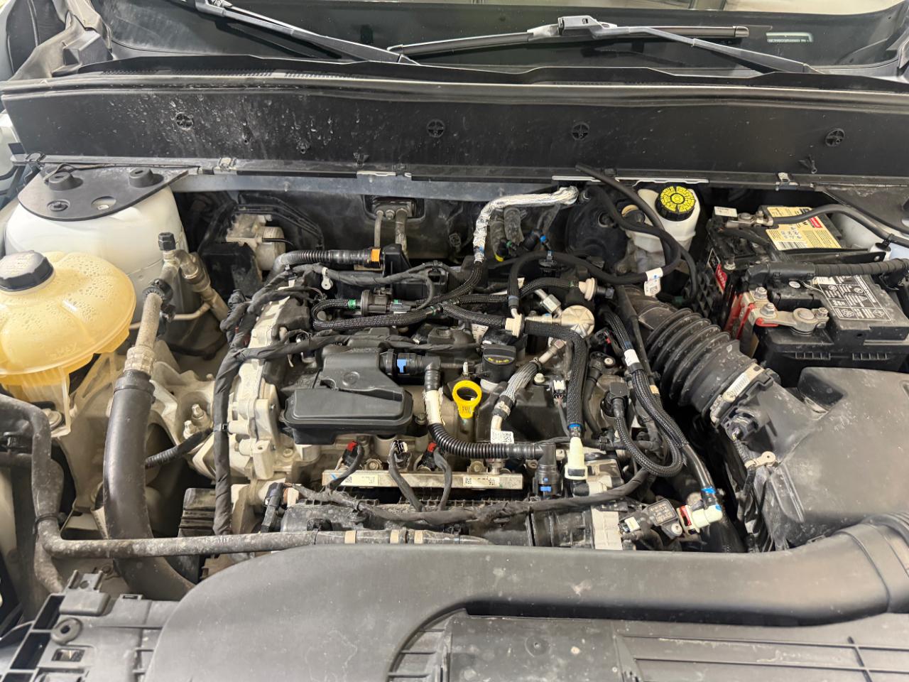 Ford Bronco Sport Big Bend 4x4 2021