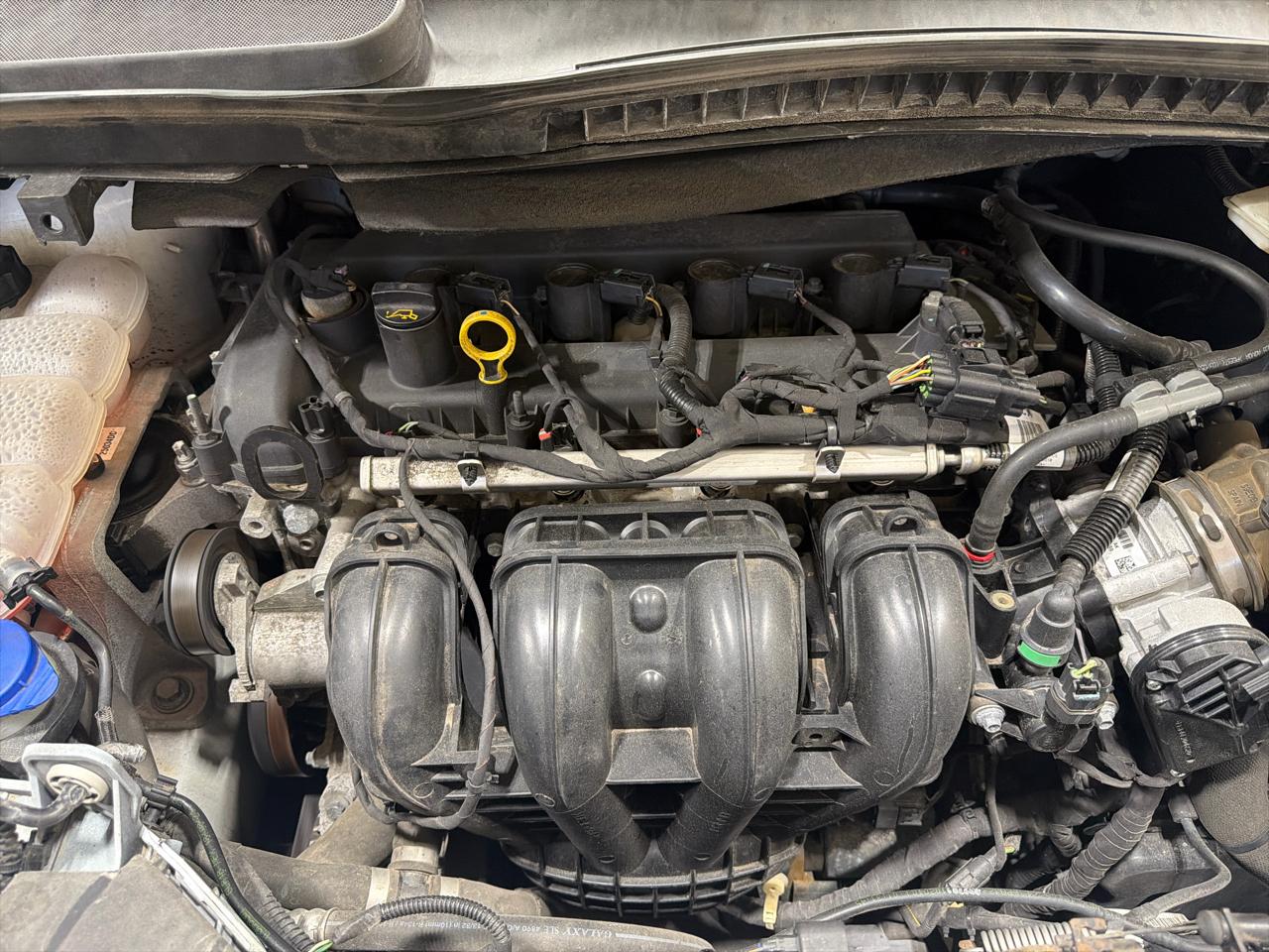 Ford Transit Connect Van XL LWB w/Rear Symmetrical Doors 2019