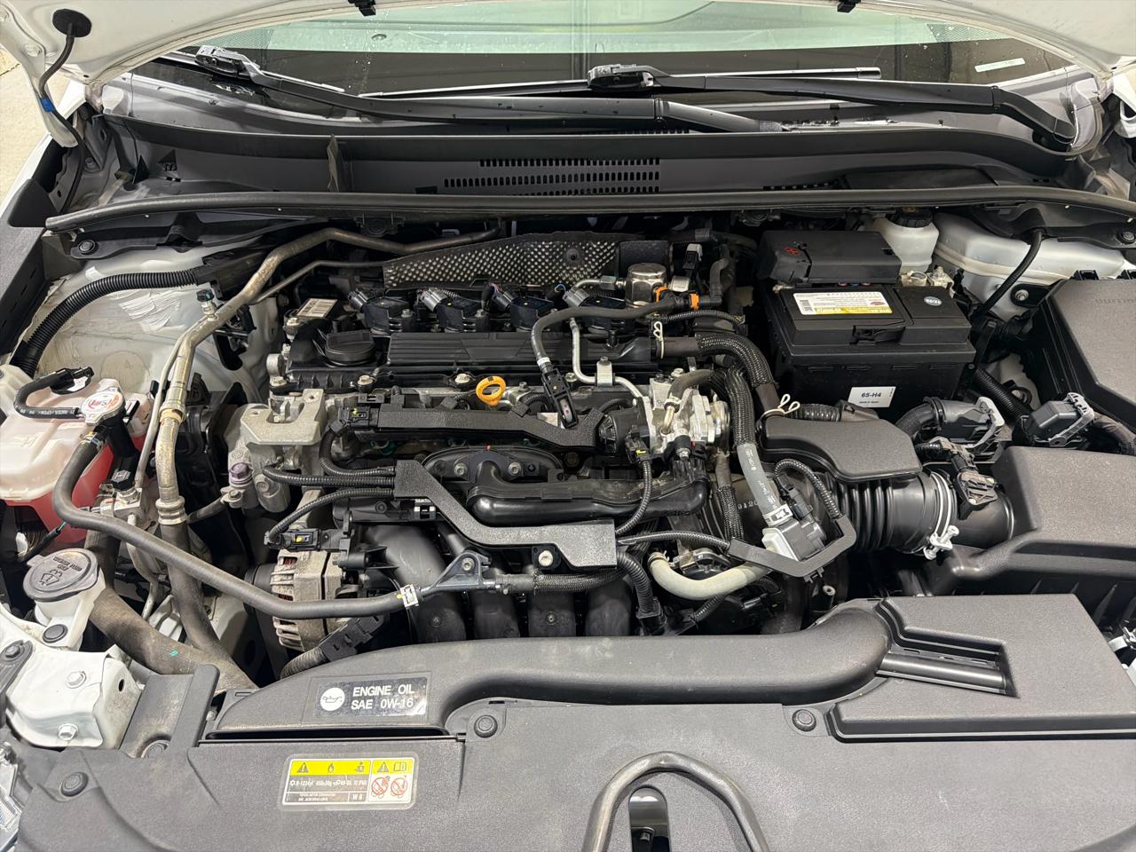 Toyota Corolla LE CVT (Natl) 2023