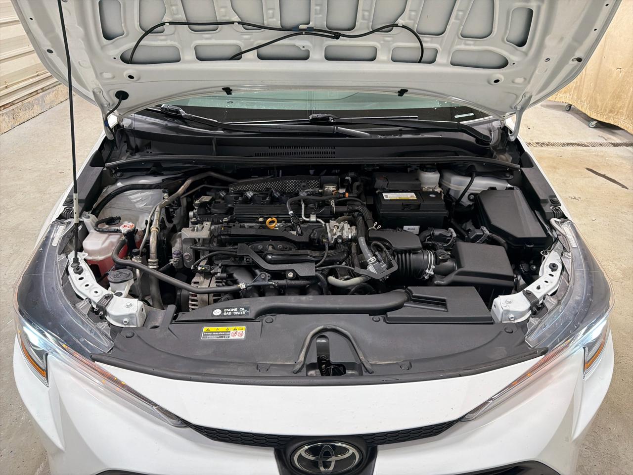 Toyota Corolla LE CVT (Natl) 2023