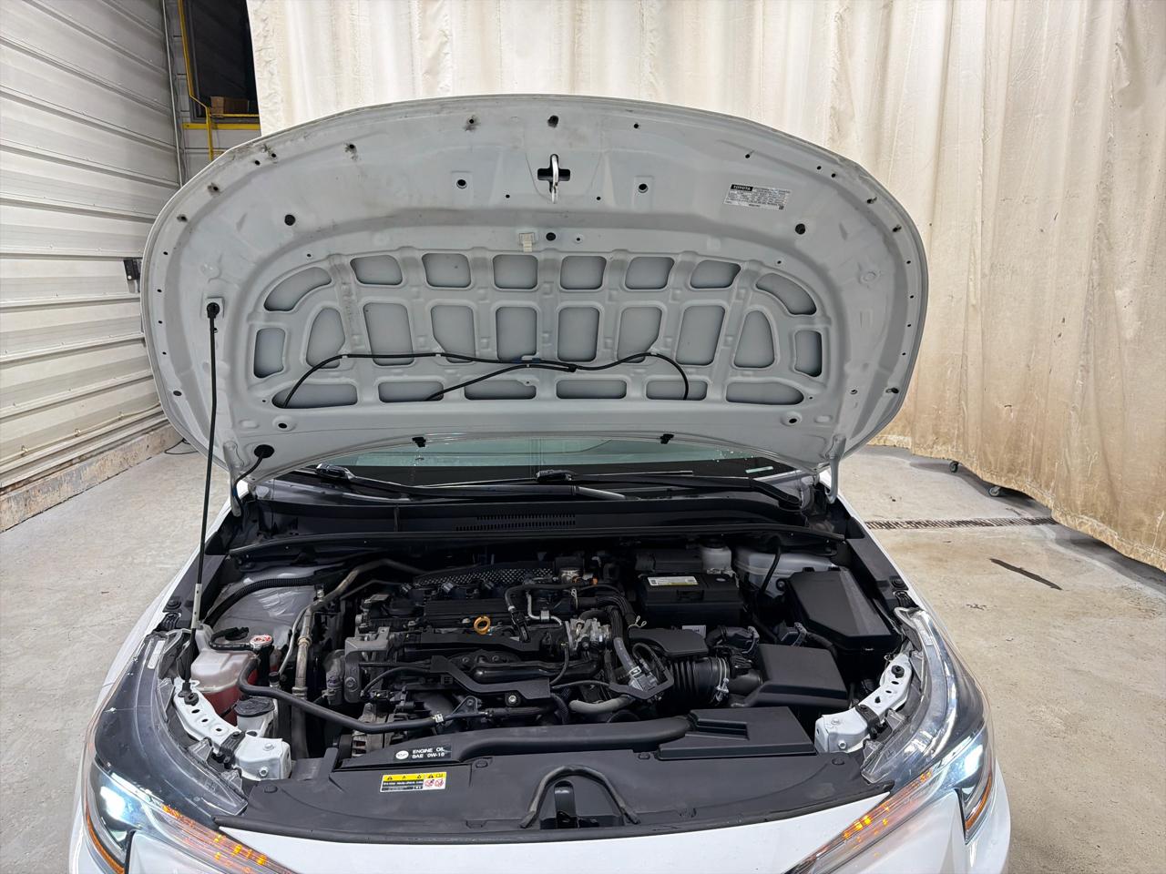 Toyota Corolla LE CVT (Natl) 2023