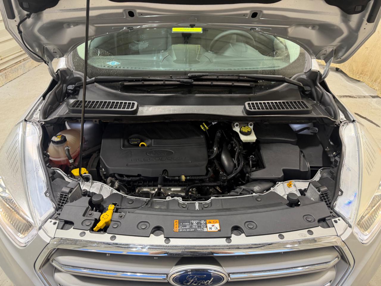 Ford Escape SE FWD 2017