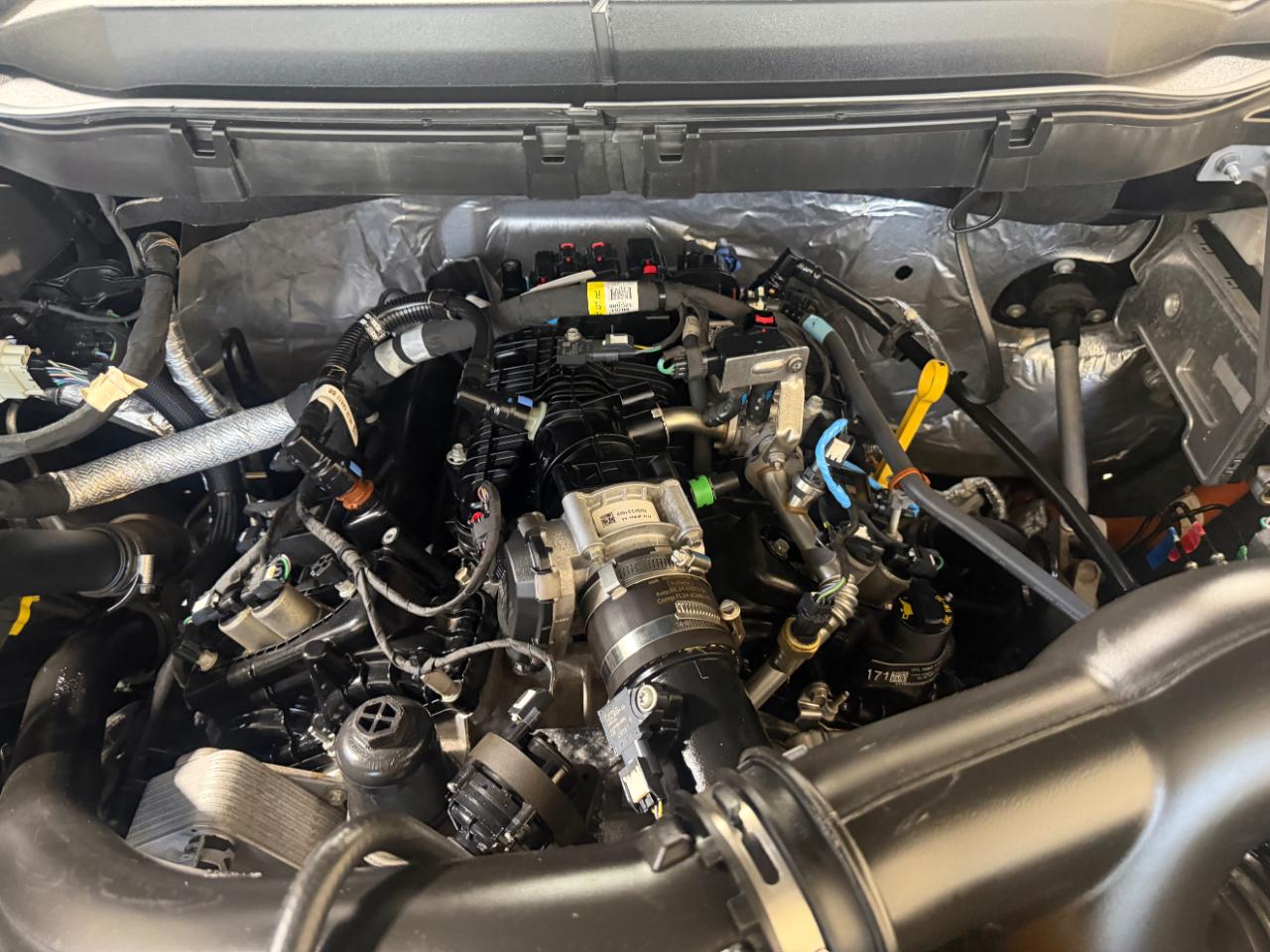 Ford F-150 XLT 4WD SuperCrew 5.5' Box 2023