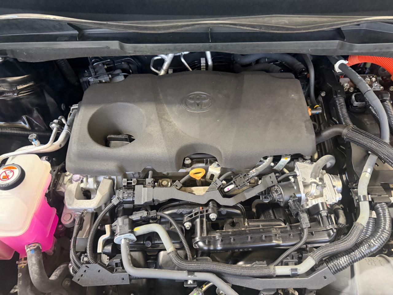 Toyota Sienna LE AWD 8-Passenger (Natl) 2023