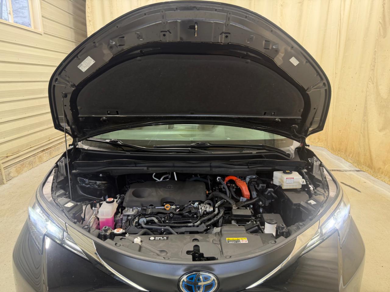 Toyota Sienna LE AWD 8-Passenger (Natl) 2023