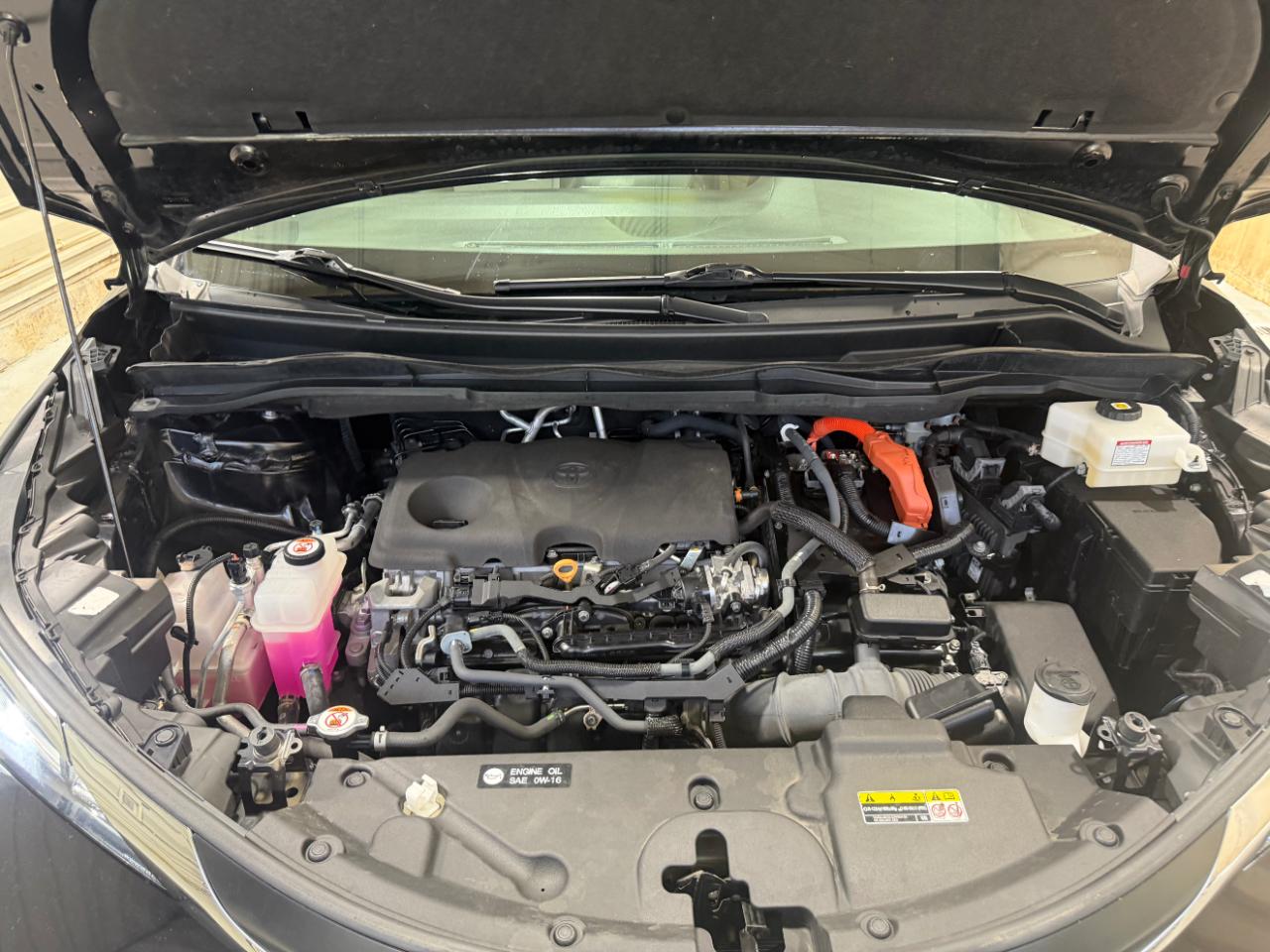 Toyota Sienna LE AWD 8-Passenger (Natl) 2023
