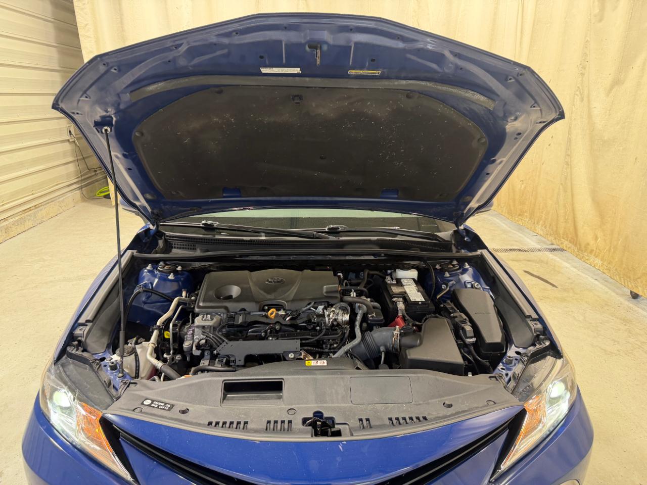 Toyota Camry LE Auto AWD (Natl) 2023