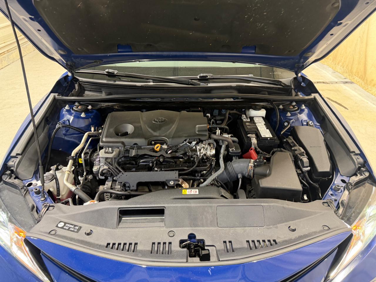 Toyota Camry LE Auto AWD (Natl) 2023