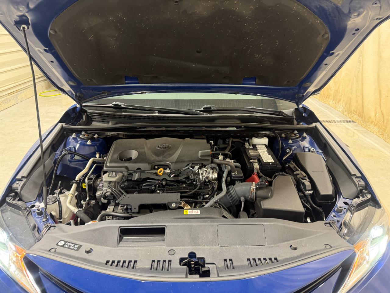 Toyota Camry LE Auto AWD (Natl) 2023
