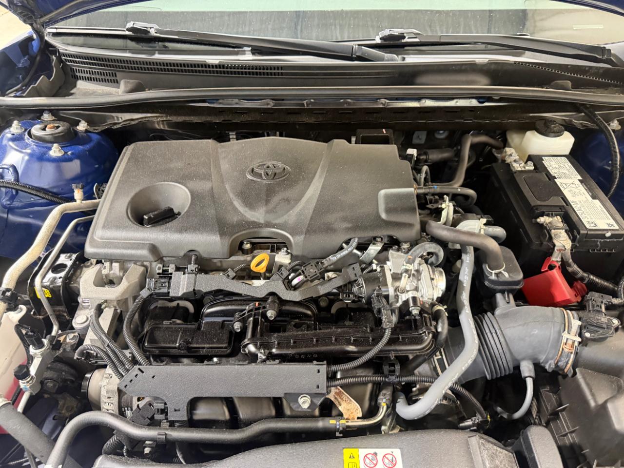 Toyota Camry LE Auto AWD (Natl) 2023