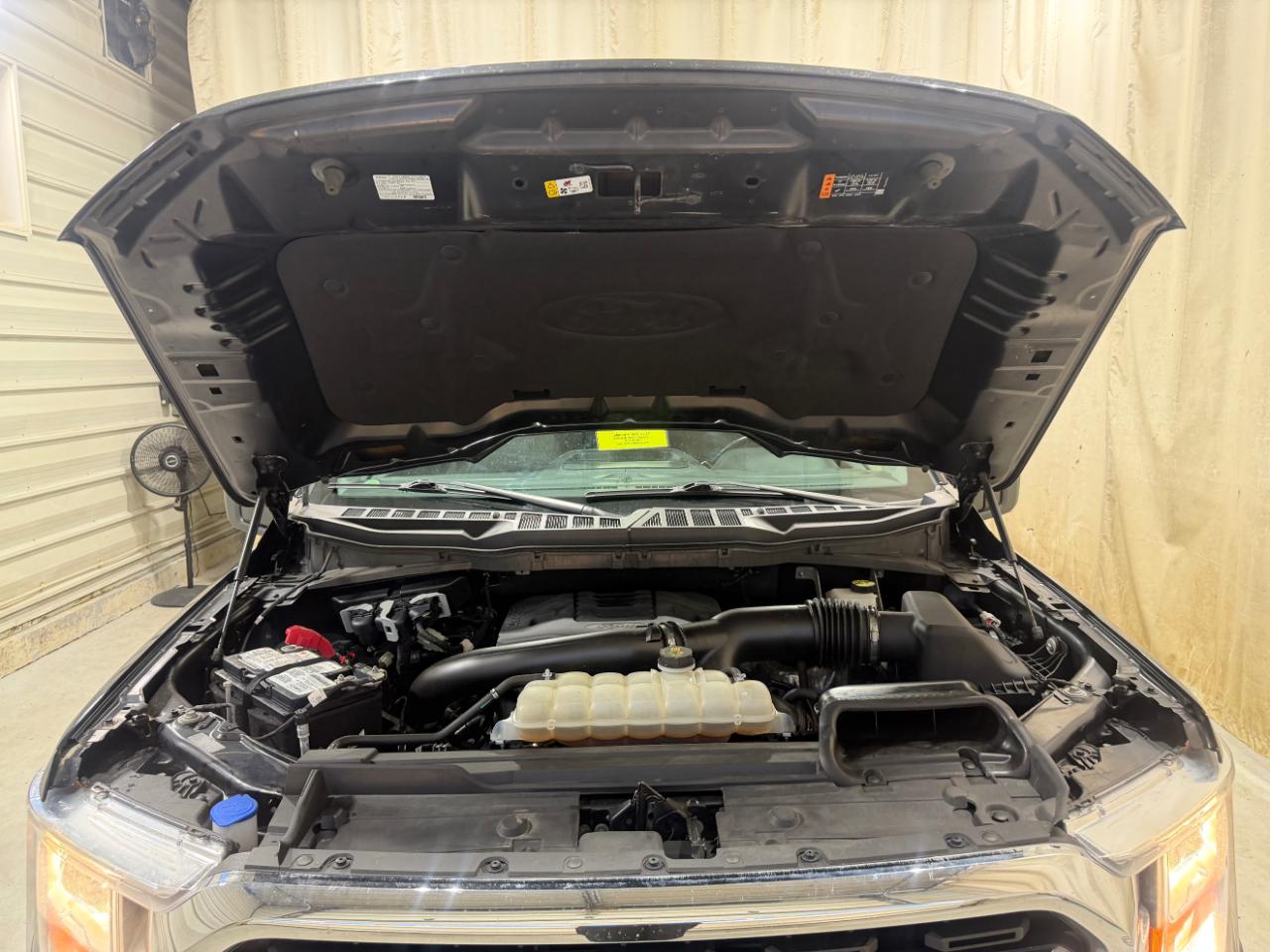Ford F-150 XLT SuperCrew 5.5-ft. Bed 4WD 2021