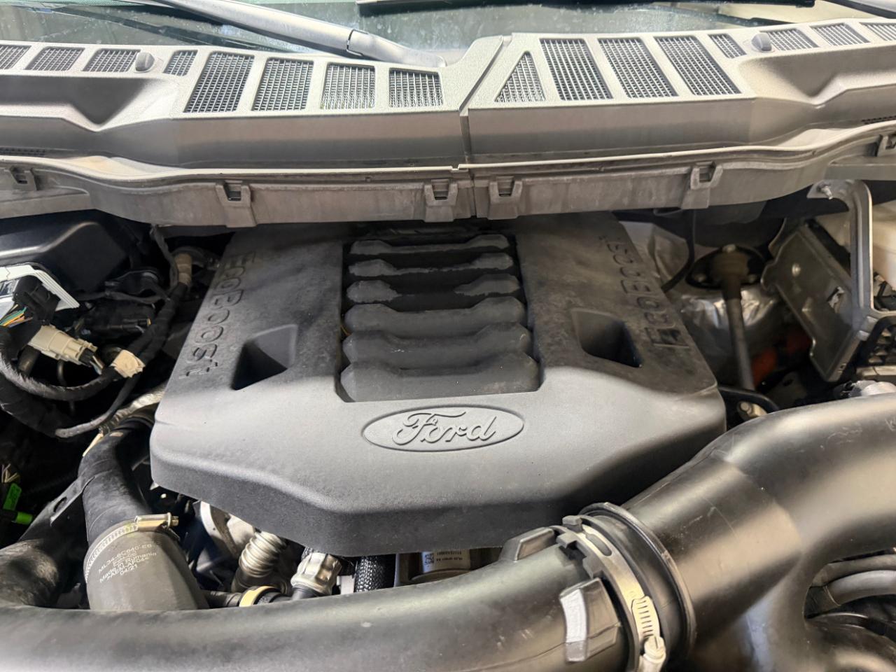 Ford F-150 XLT SuperCrew 5.5-ft. Bed 4WD 2021