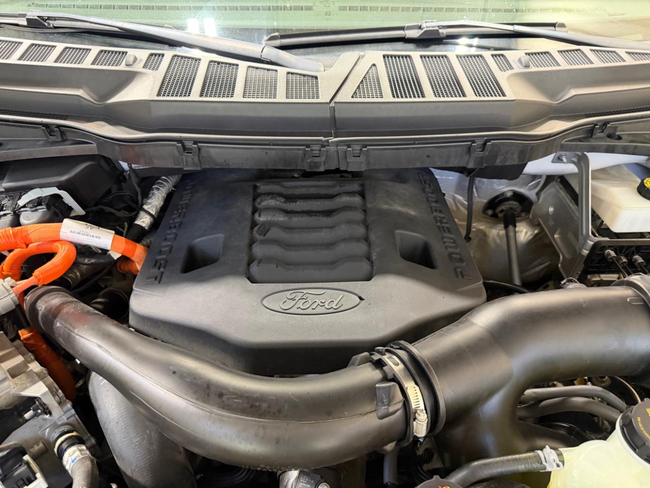 Ford F-150 XLT 4WD SuperCrew 6.5' Box 2023