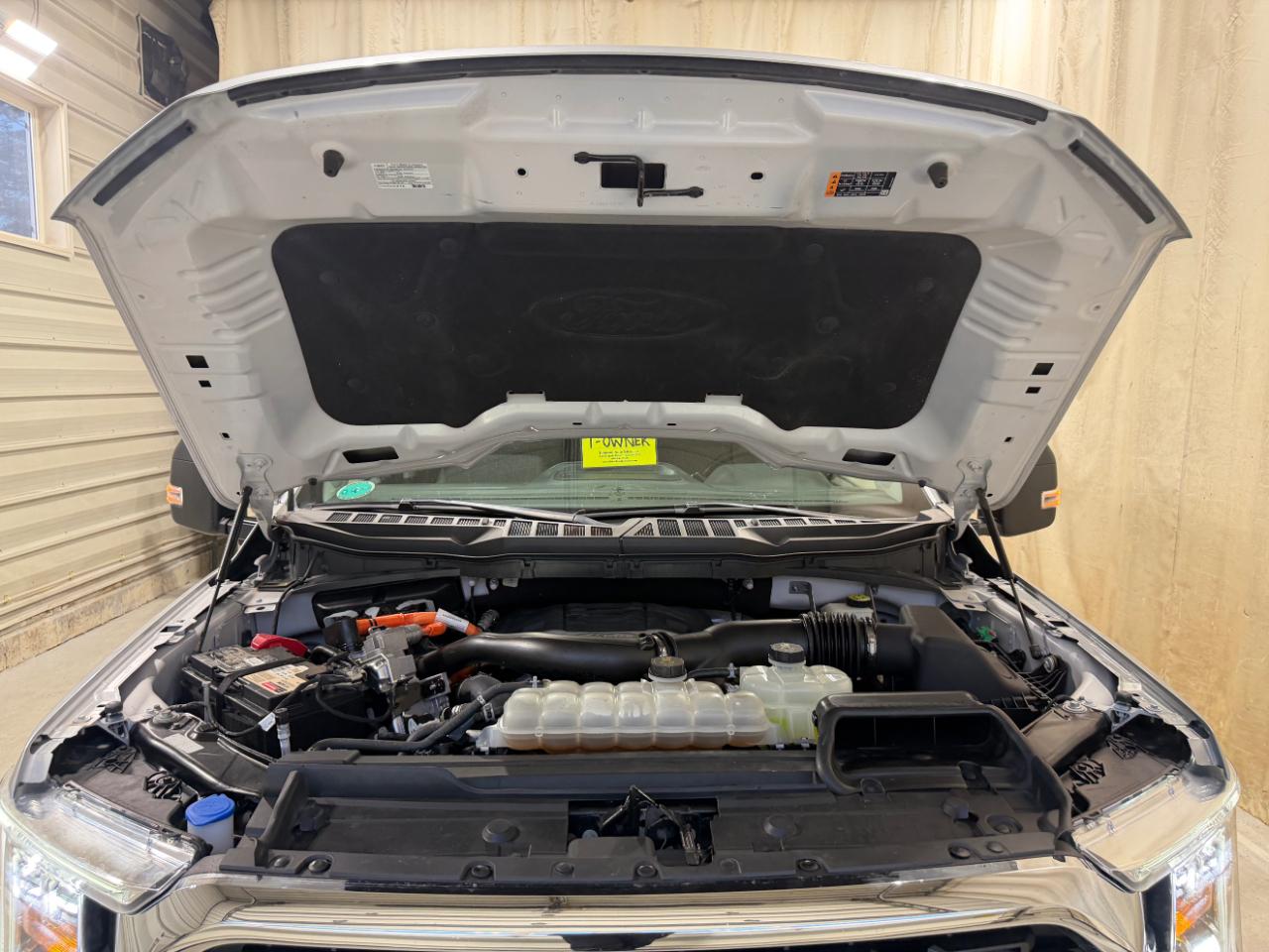 Ford F-150 XLT 4WD SuperCrew 6.5' Box 2023