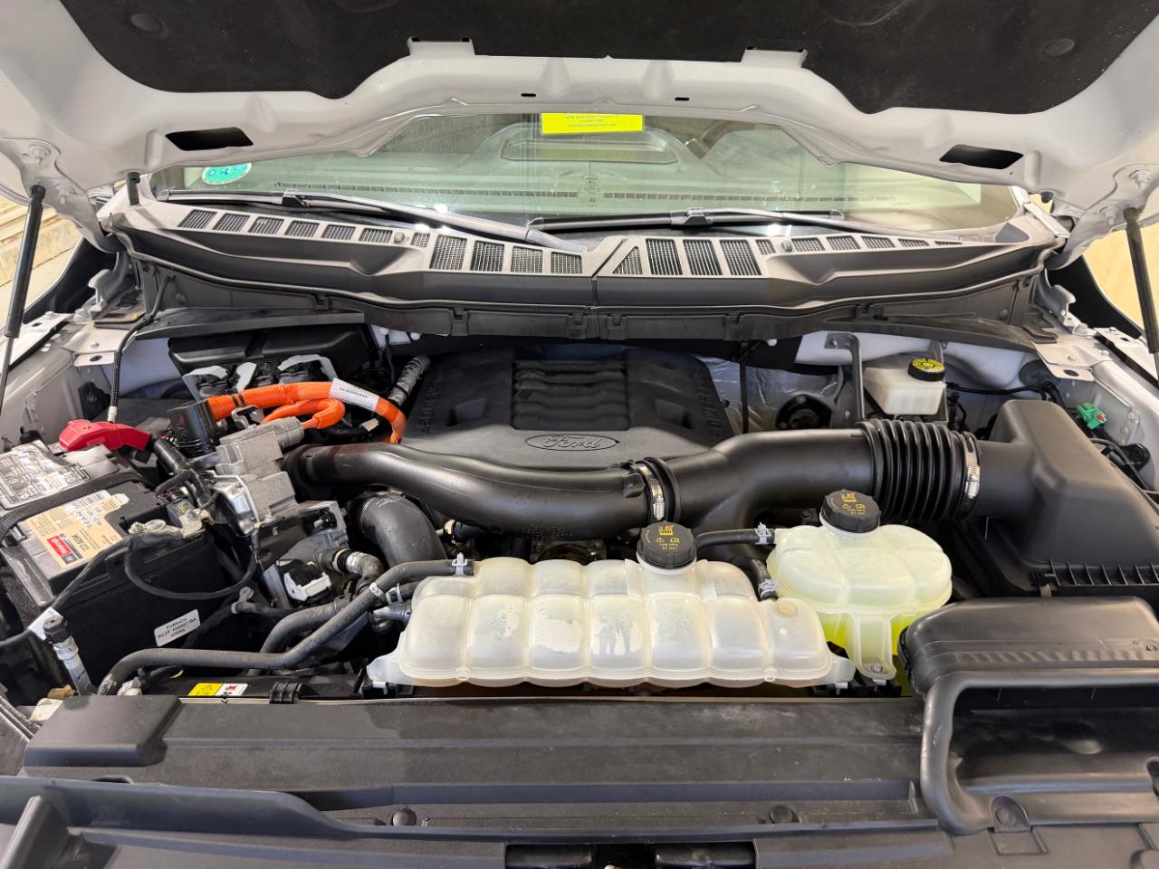 Ford F-150 XLT 4WD SuperCrew 6.5' Box 2023