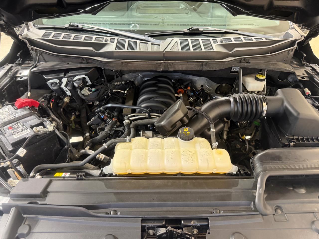Ford F-150 XLT 4WD SuperCrew 5.5' Box 2023