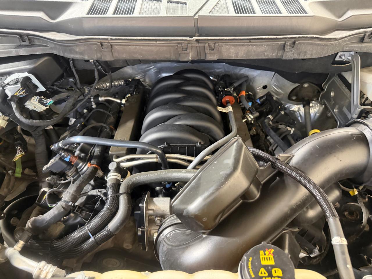 Ford F-150 XLT 4WD SuperCrew 5.5' Box 2023