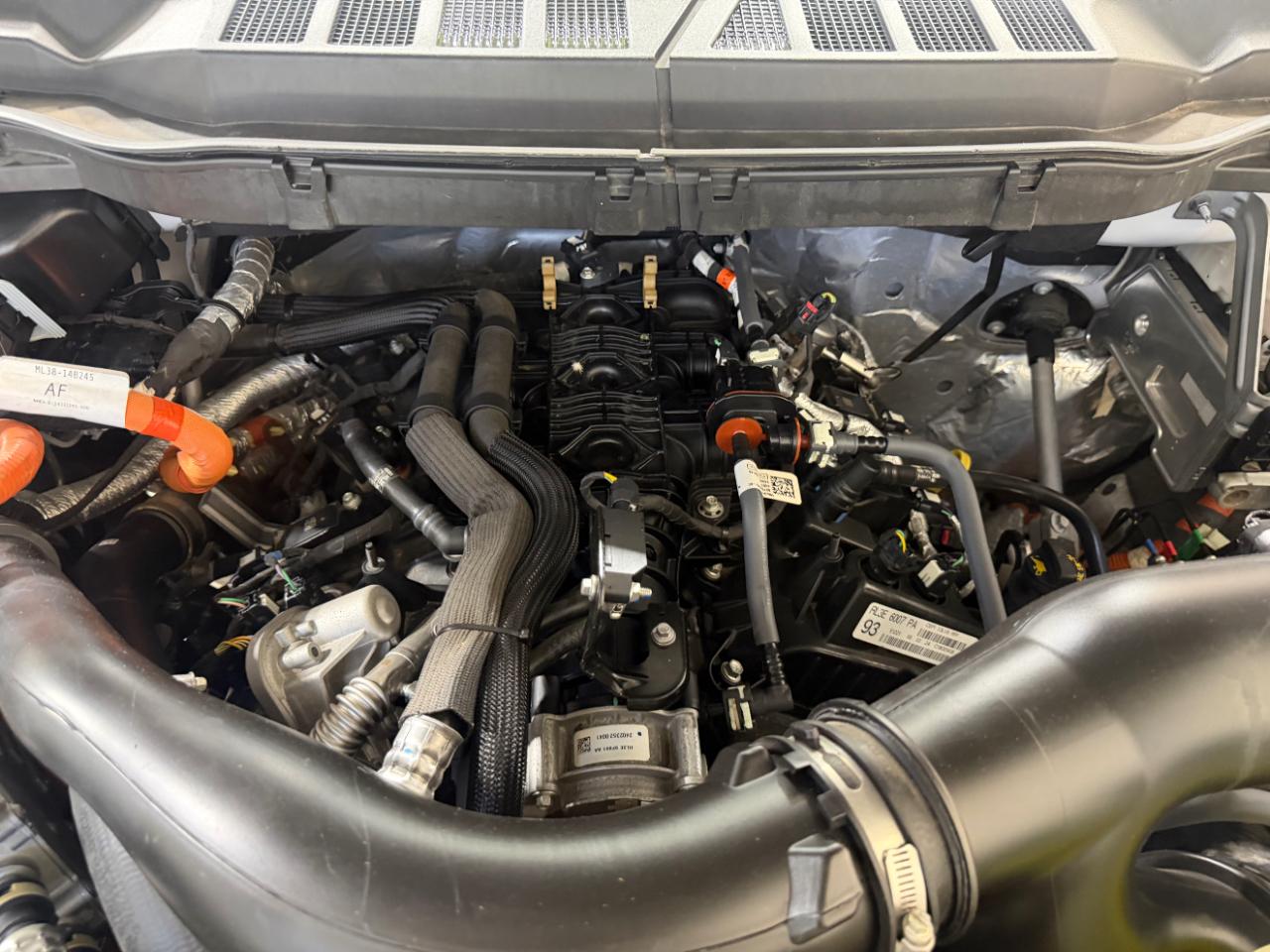 Ford F-150 XLT 4WD SuperCrew 5.5' Box 2024