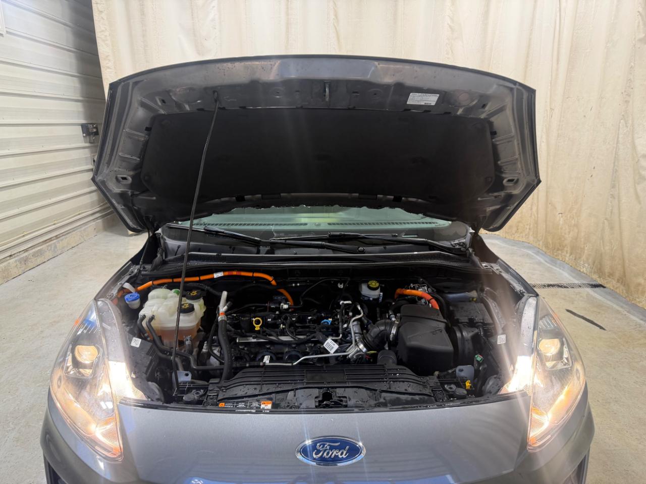 Ford Escape SE Hybrid FWD 2021