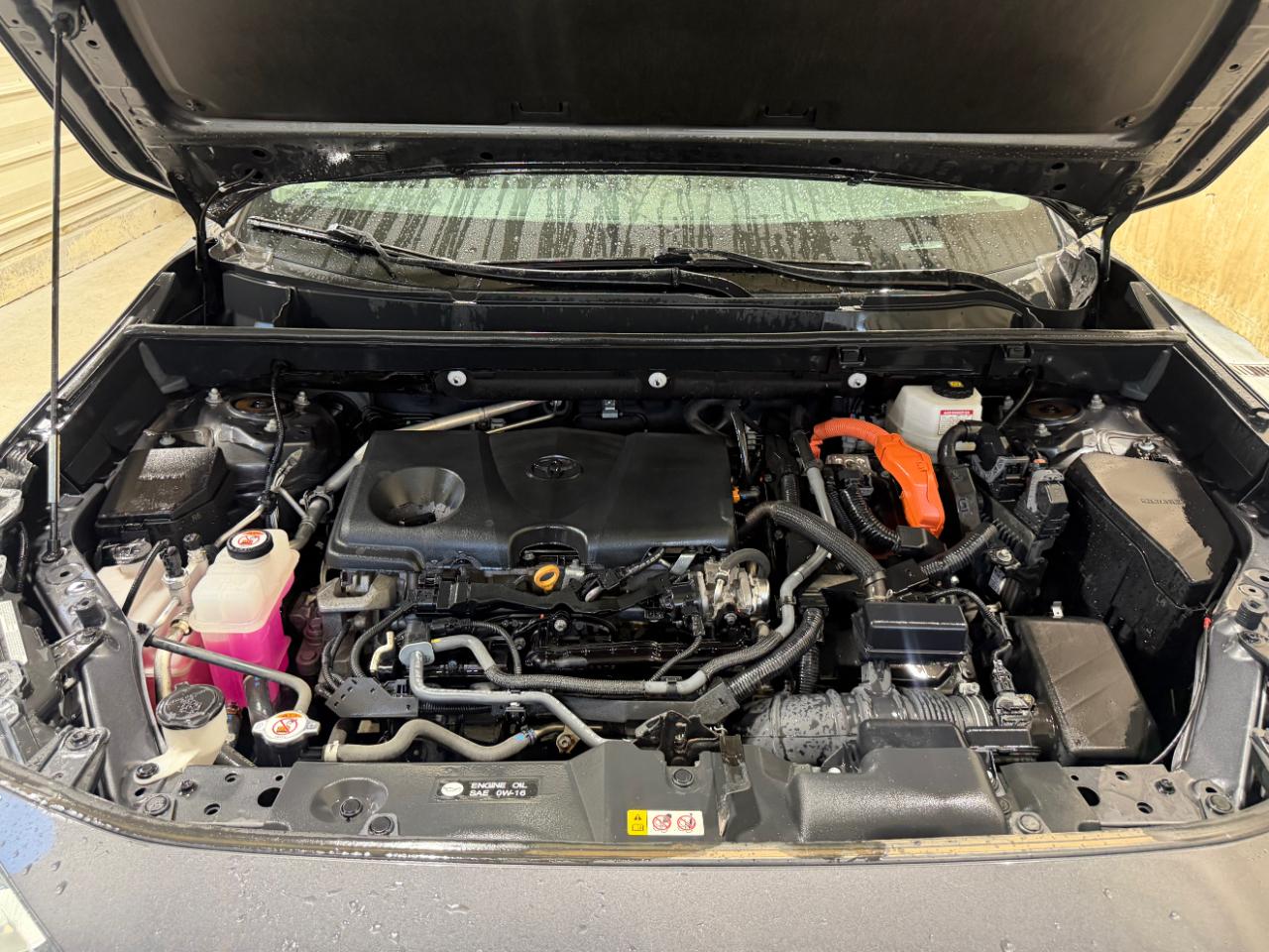 Toyota RAV4 Hybrid XLE AWD (Natl) 2024