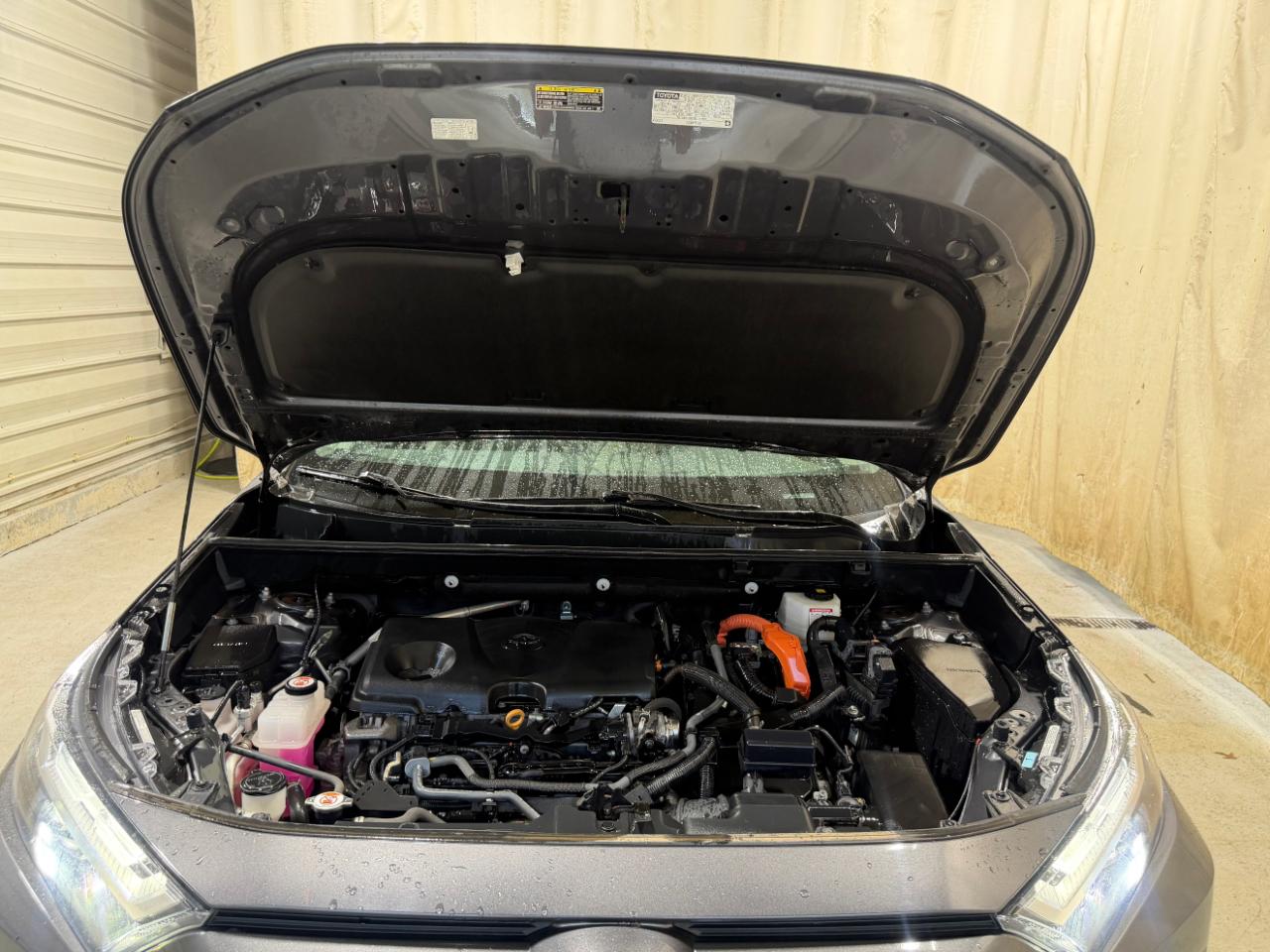 Toyota RAV4 Hybrid XLE AWD (Natl) 2024