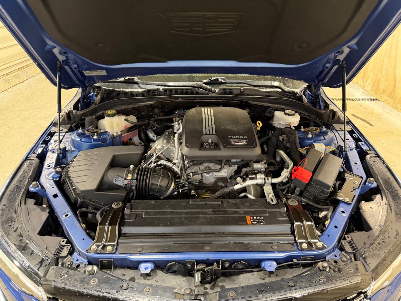 Cadillac CT4 4dr Sdn Premium Luxury 2021