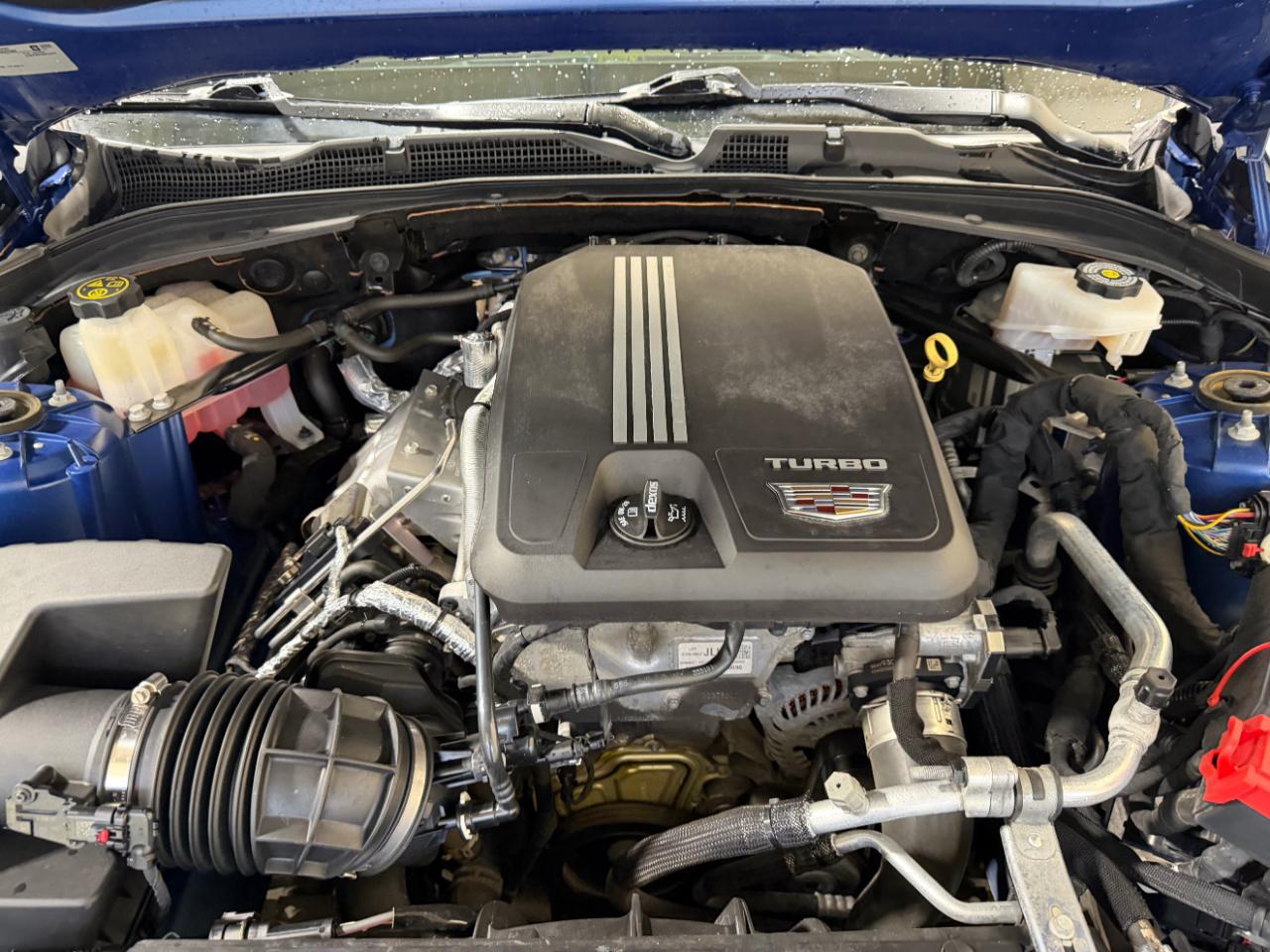 Cadillac CT4 4dr Sdn Premium Luxury 2021