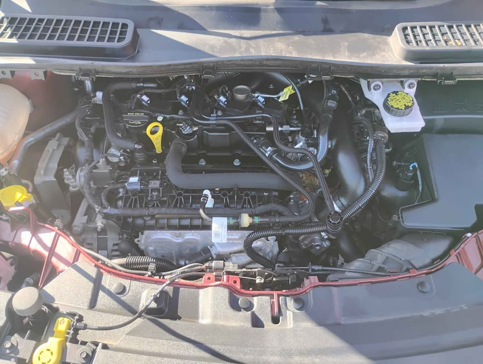 Ford Escape SEL 4WD 2019