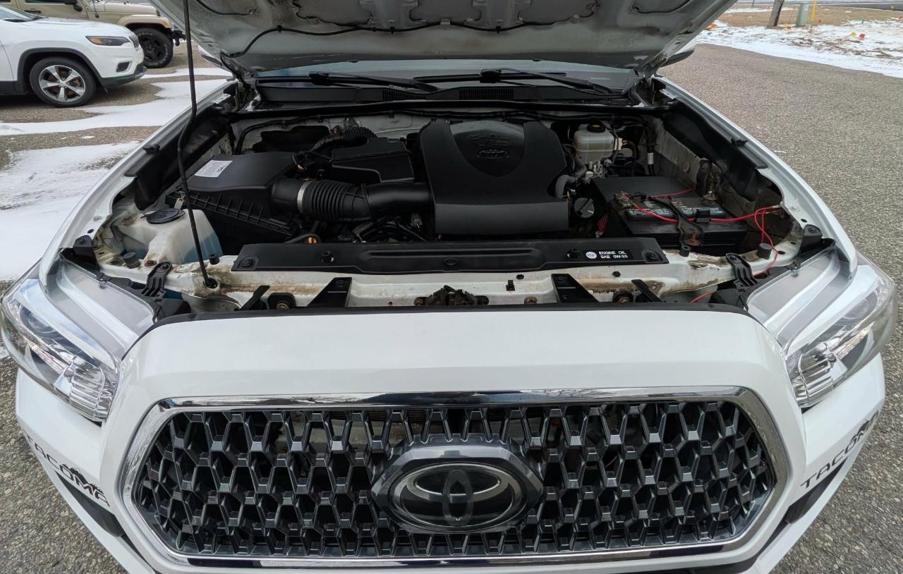 Toyota Tacoma TRD Off Road Double Cab 6' Bed V6 4x4 AT (Natl) 2019