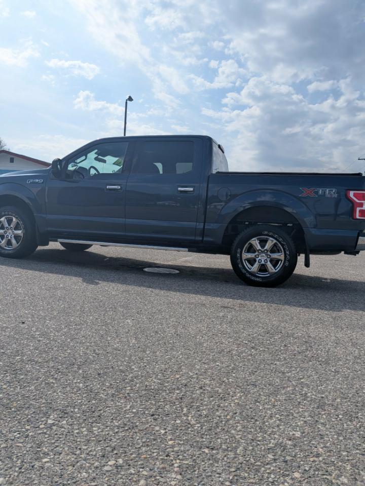 Ford F-150 XLT SuperCrew 5.5-ft. Bed 4WD 2020