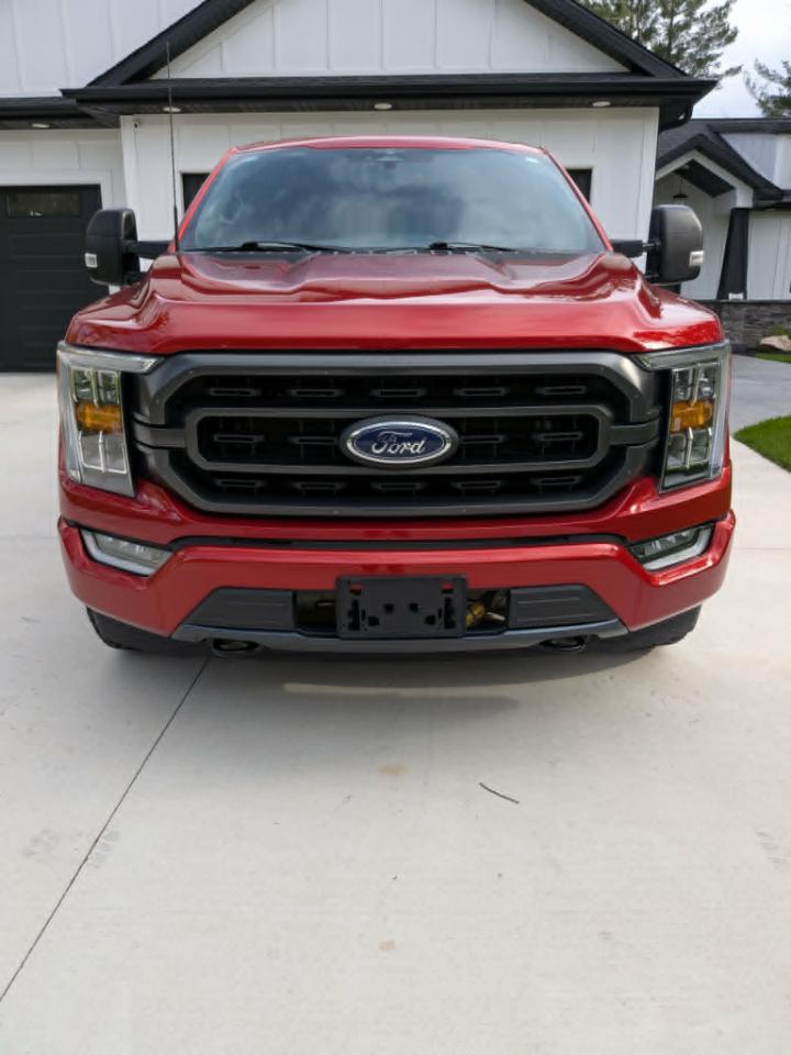 Ford F-150 XLT SuperCrew 6.5-ft. Bed 4WD 2023