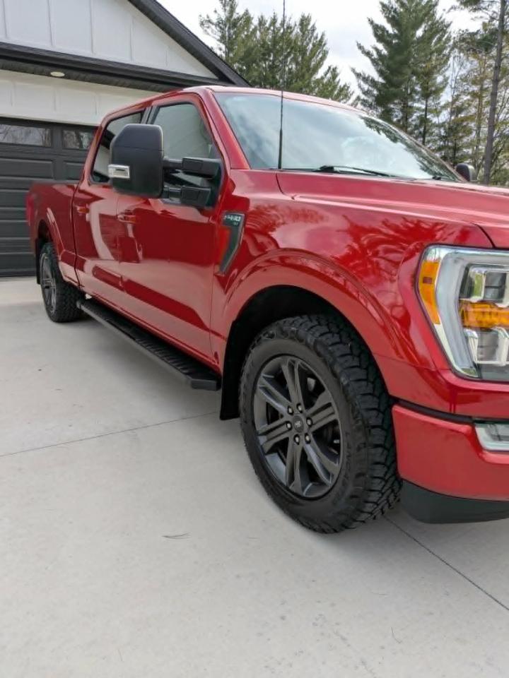 Ford F-150 XLT SuperCrew 6.5-ft. Bed 4WD 2023