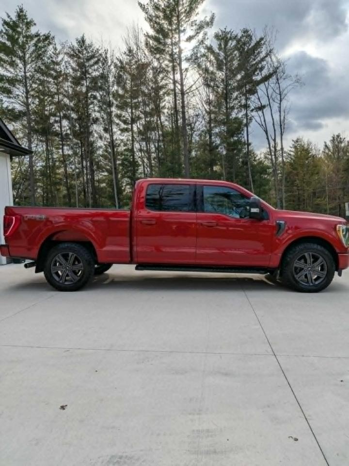 Ford F-150 XLT SuperCrew 6.5-ft. Bed 4WD 2023
