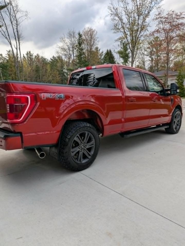 Ford F-150 XLT SuperCrew 6.5-ft. Bed 4WD 2023