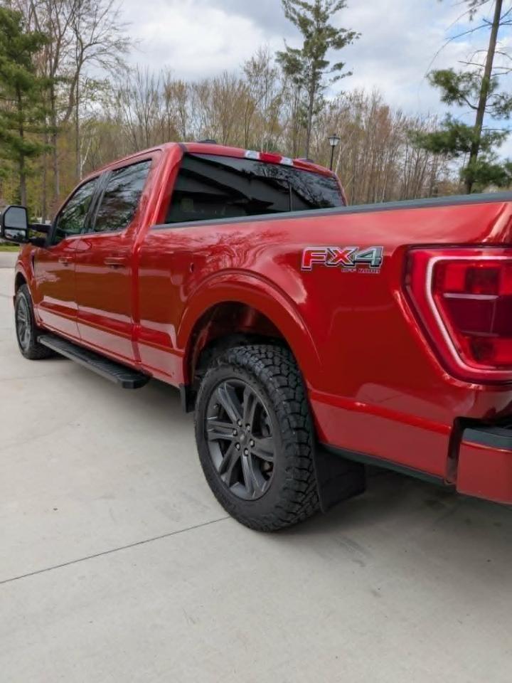 Ford F-150 XLT SuperCrew 6.5-ft. Bed 4WD 2023