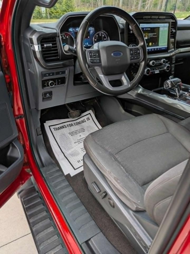 Ford F-150 XLT SuperCrew 6.5-ft. Bed 4WD 2023