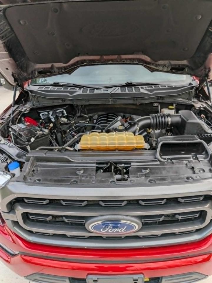 Ford F-150 XLT SuperCrew 6.5-ft. Bed 4WD 2023