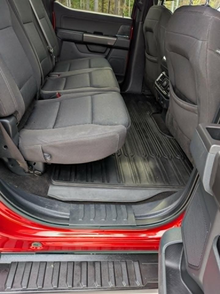 Ford F-150 XLT SuperCrew 6.5-ft. Bed 4WD 2023