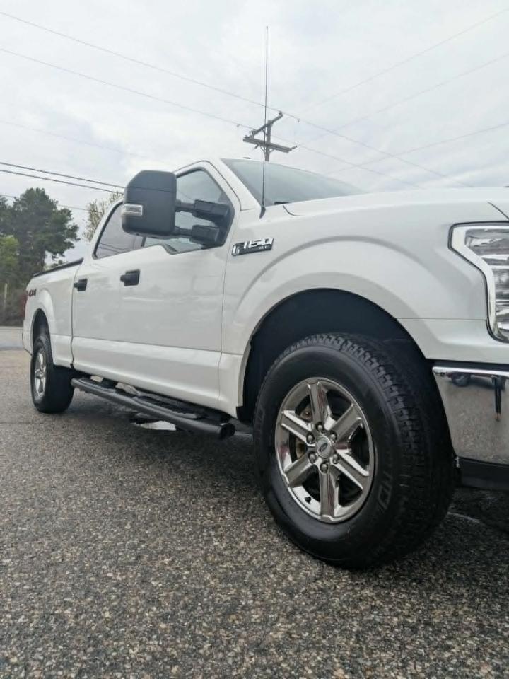 Ford F-150 XLT SuperCrew 6.5-ft. Bed 4WD 2018